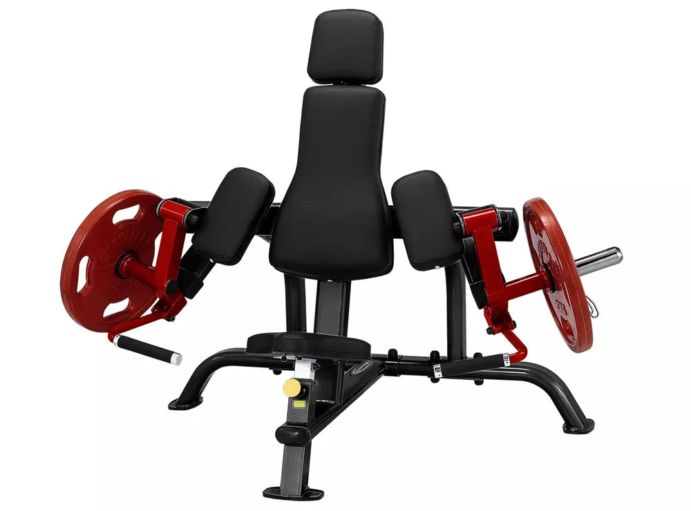 PLBC BICEP CURL