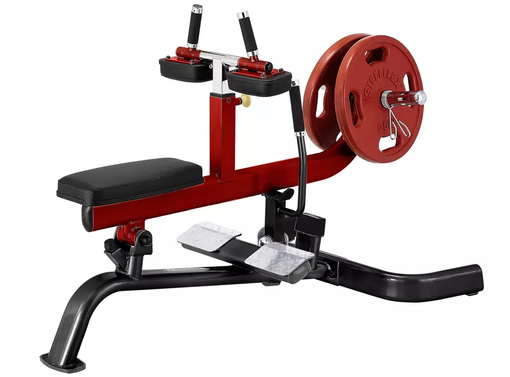 PLSC SEATED CALF